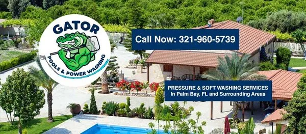 Gator Power Washing Logo