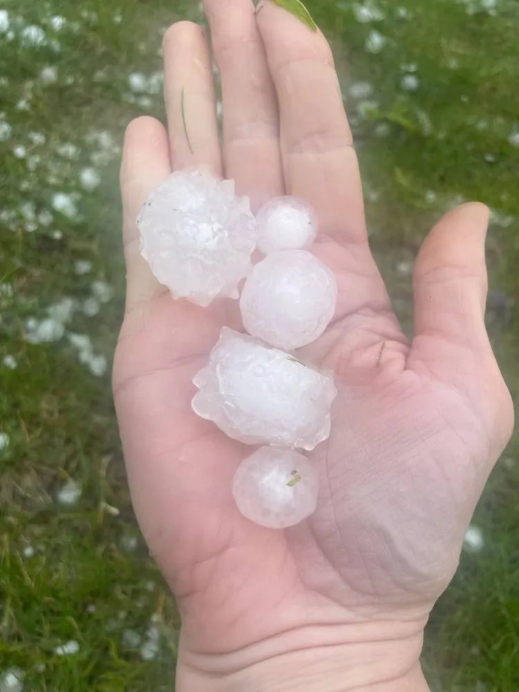 Slide of Gator Top Roofing