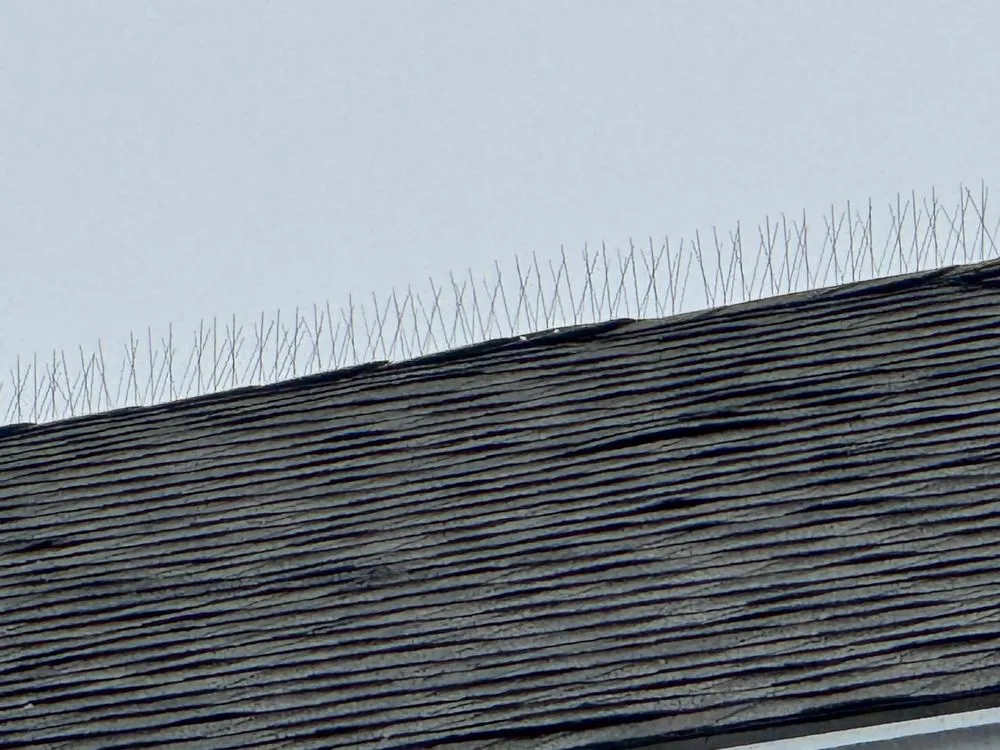 Slide of G&C Home Improvements