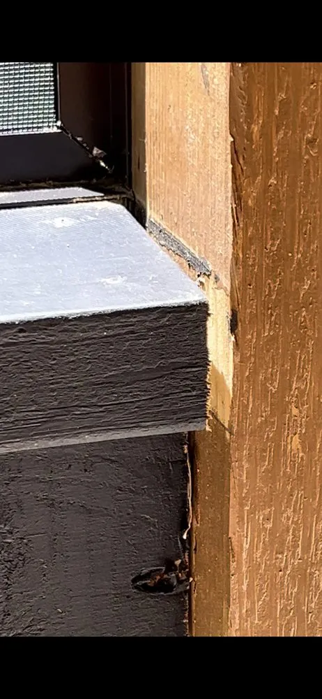 Slide of GE Goliath Exteriors