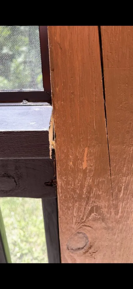 Slide of GE Goliath Exteriors