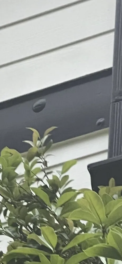 Slide of GE Goliath Exteriors