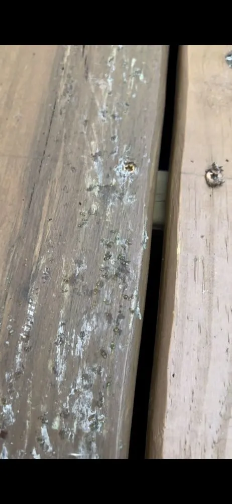 Slide of GE Goliath Exteriors