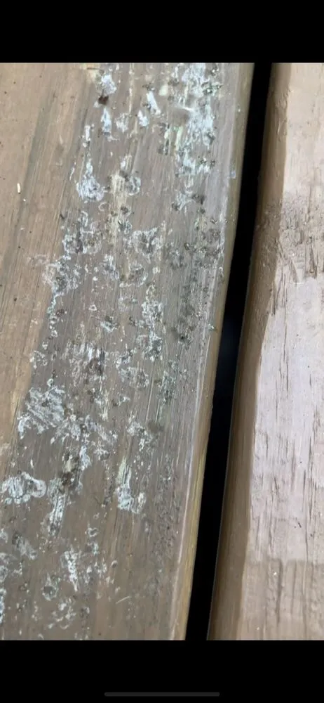 Slide of GE Goliath Exteriors