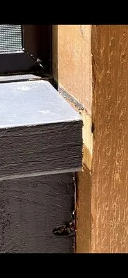 GE Goliath Exteriors Logo