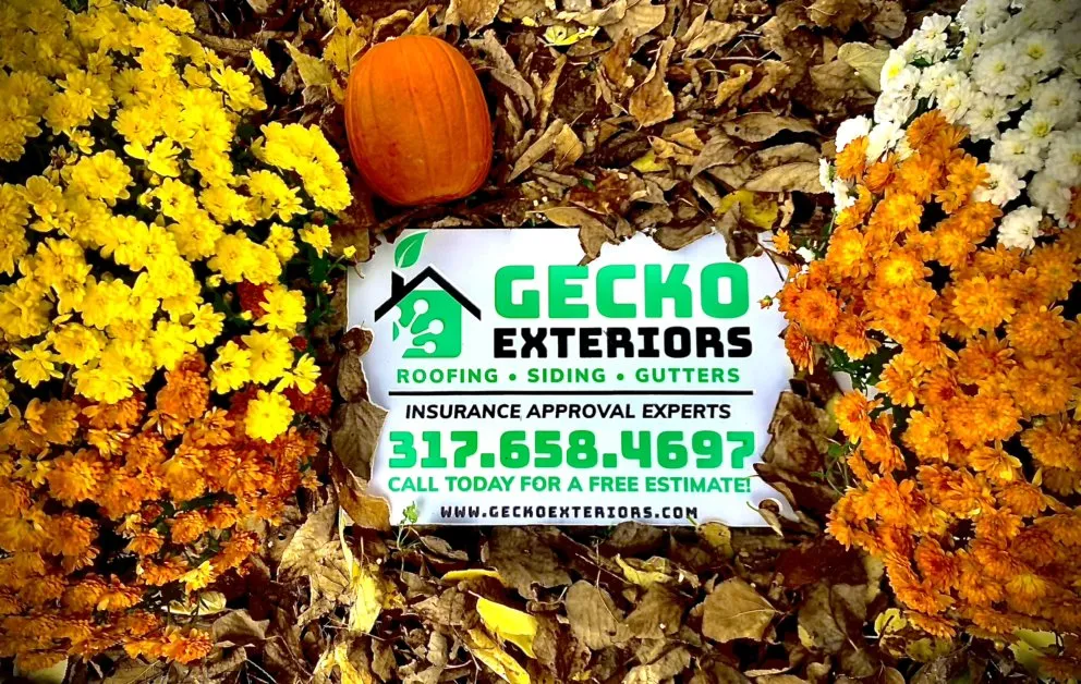 Slide of Gecko Exteriors