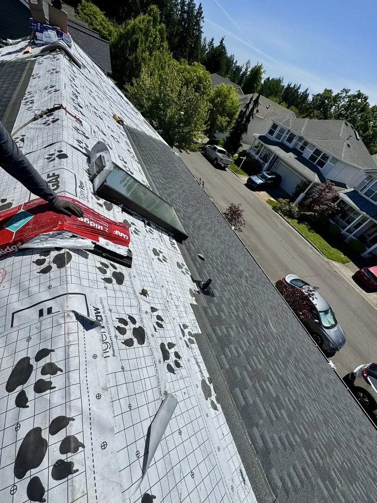 Slide of Geek Roofing