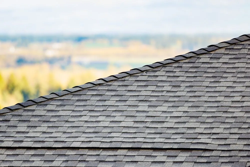 Slide of Geek Roofing