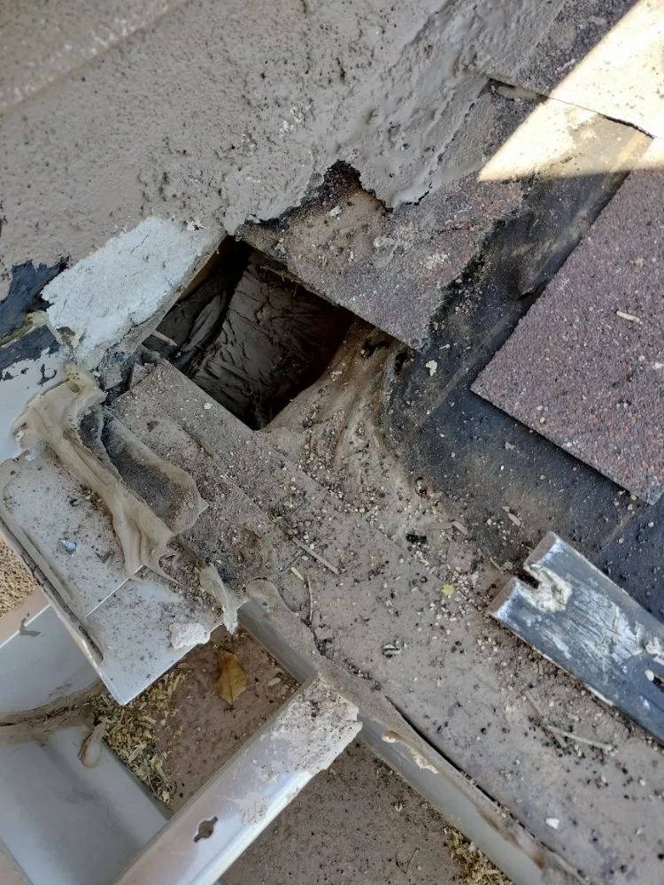 Slide of Gene Craven