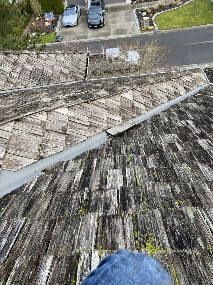 Slide of General Contractor Sofia