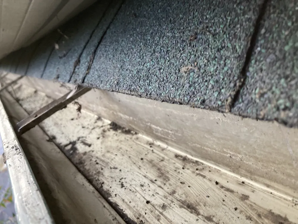 Slide of General gutter cleaning & roof maintenance