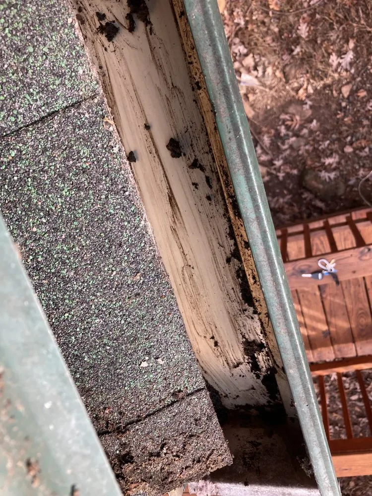 Slide of General gutter cleaning & roof maintenance