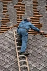 Slide of Generations Painting