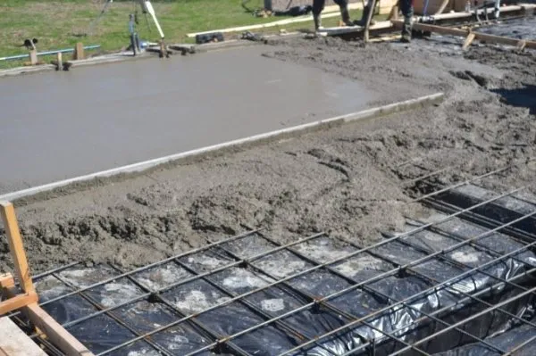 Slide of Genes Construction