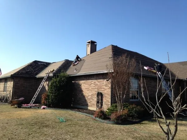 Slide of Genes Construction