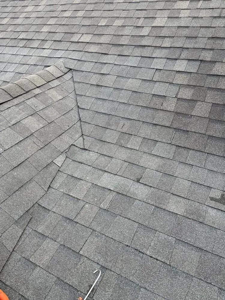 Slide of Genesis Construction