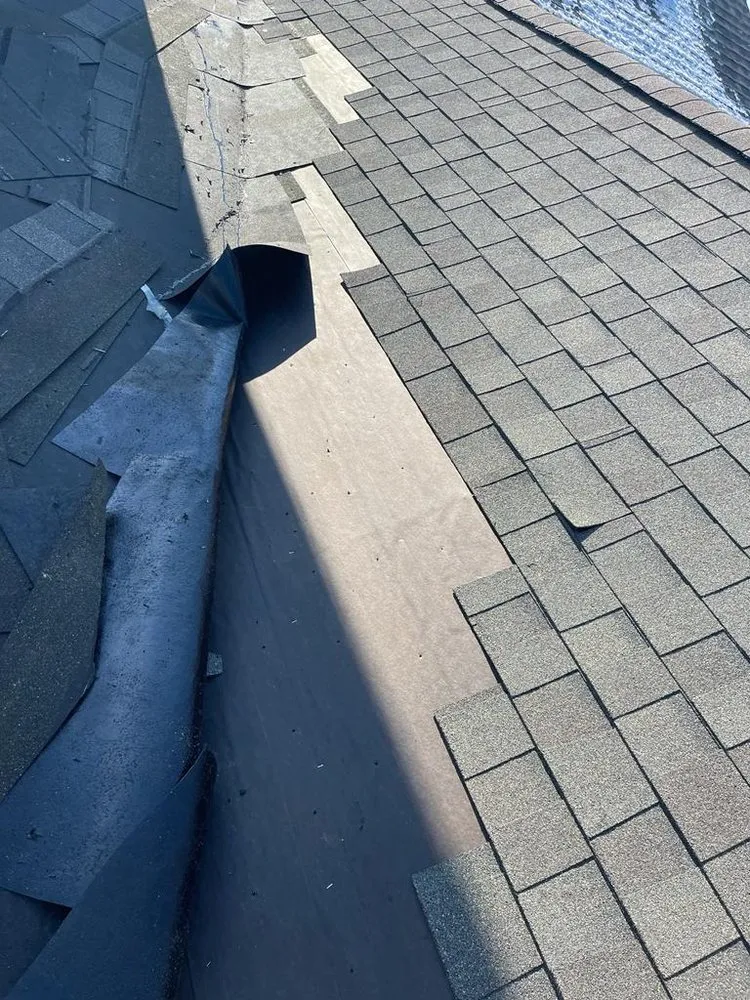 Slide of Genesis Construction