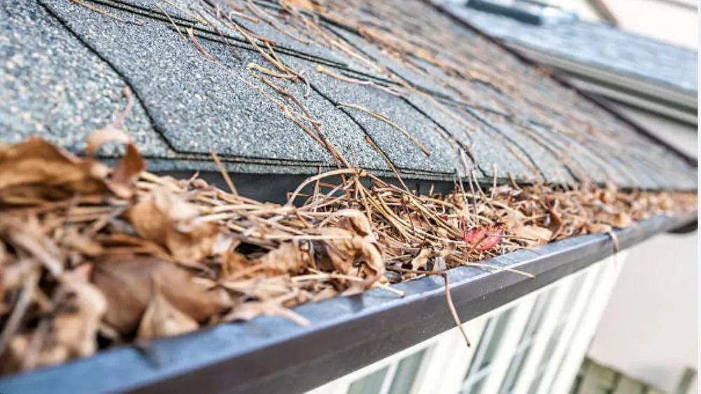 Slide of Genesis Exteriors