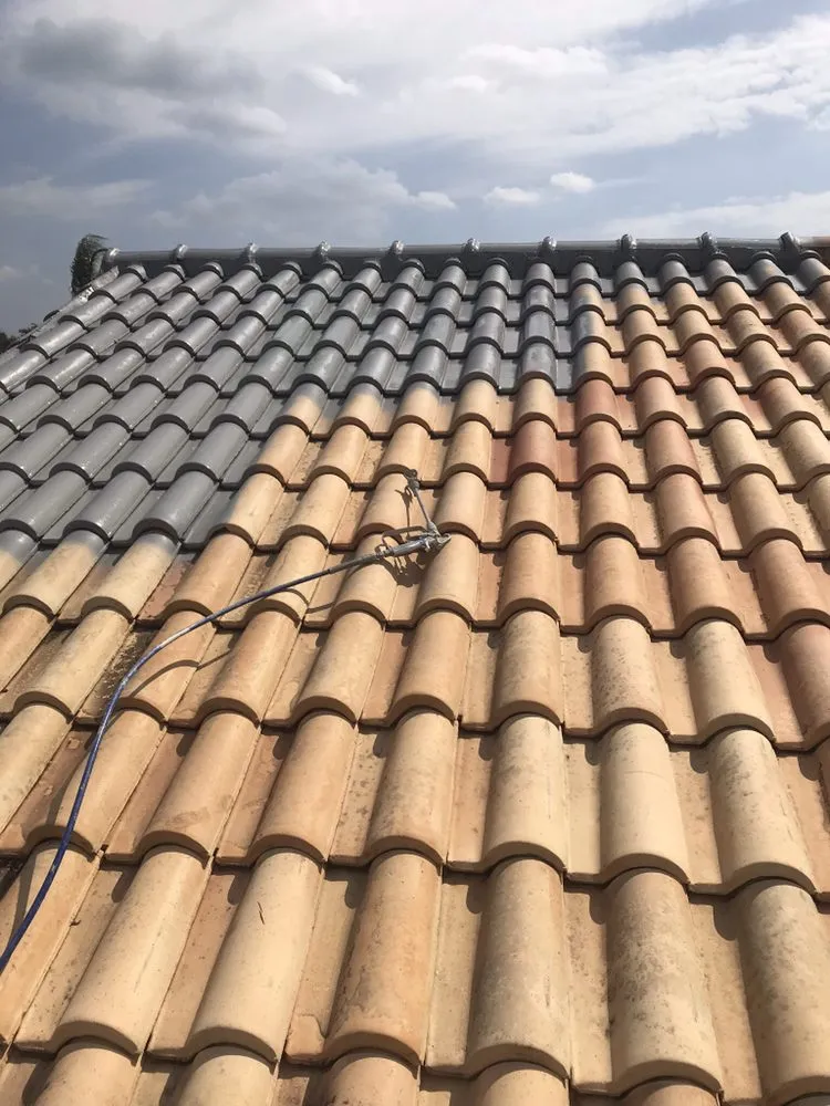 Slide of Genesis Painting