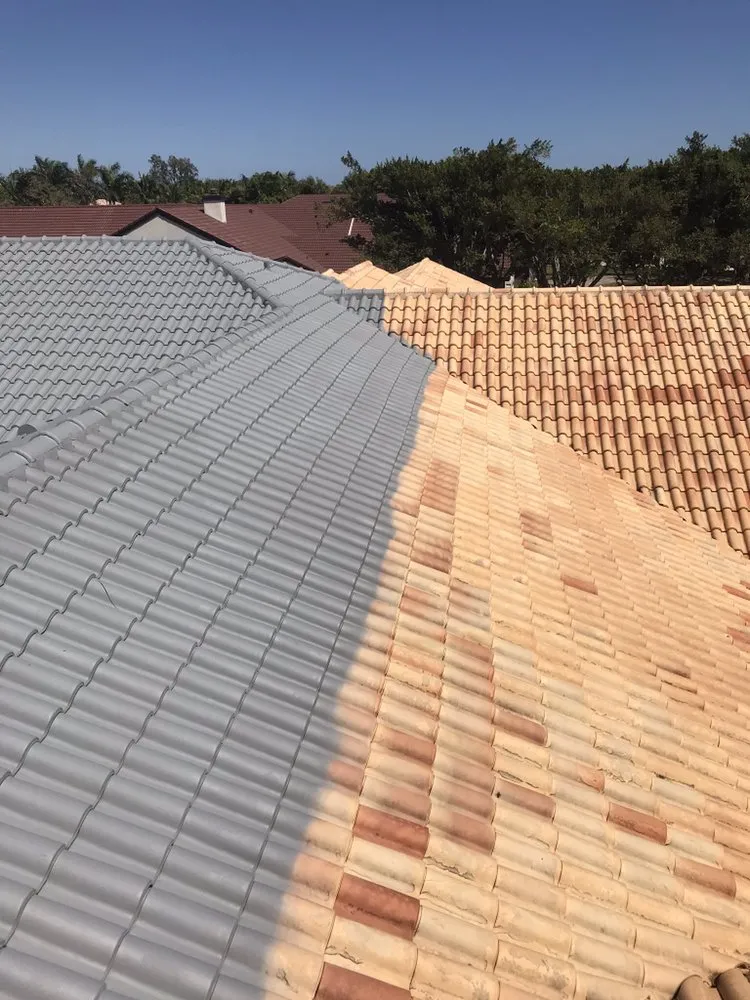 Slide of Genesis Painting