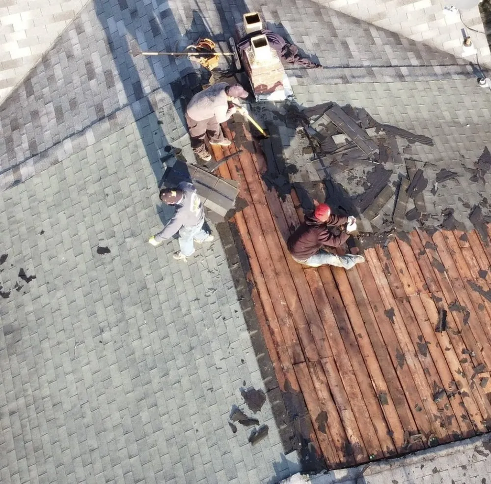 Slide of Genetic Contracting