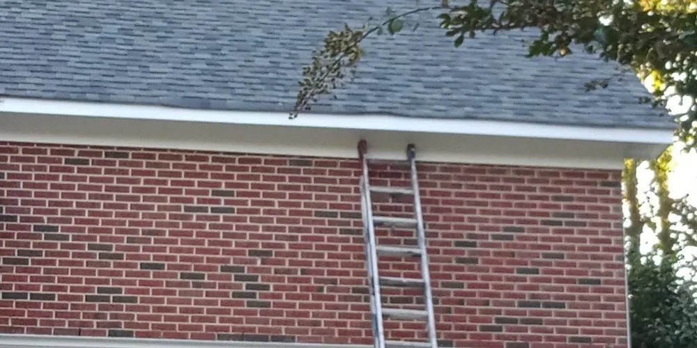 Slide of George´s Painting & More