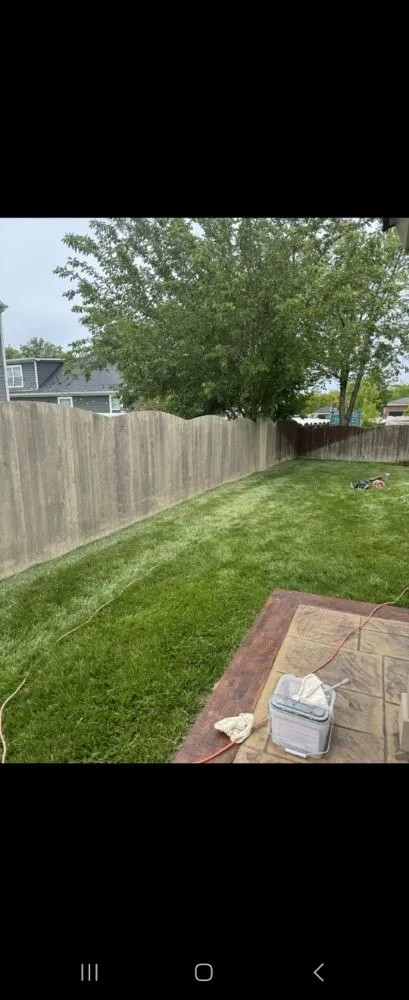 Slide of George's Painting