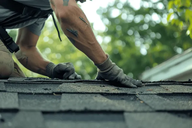 Slide of Georgia Home Roofing