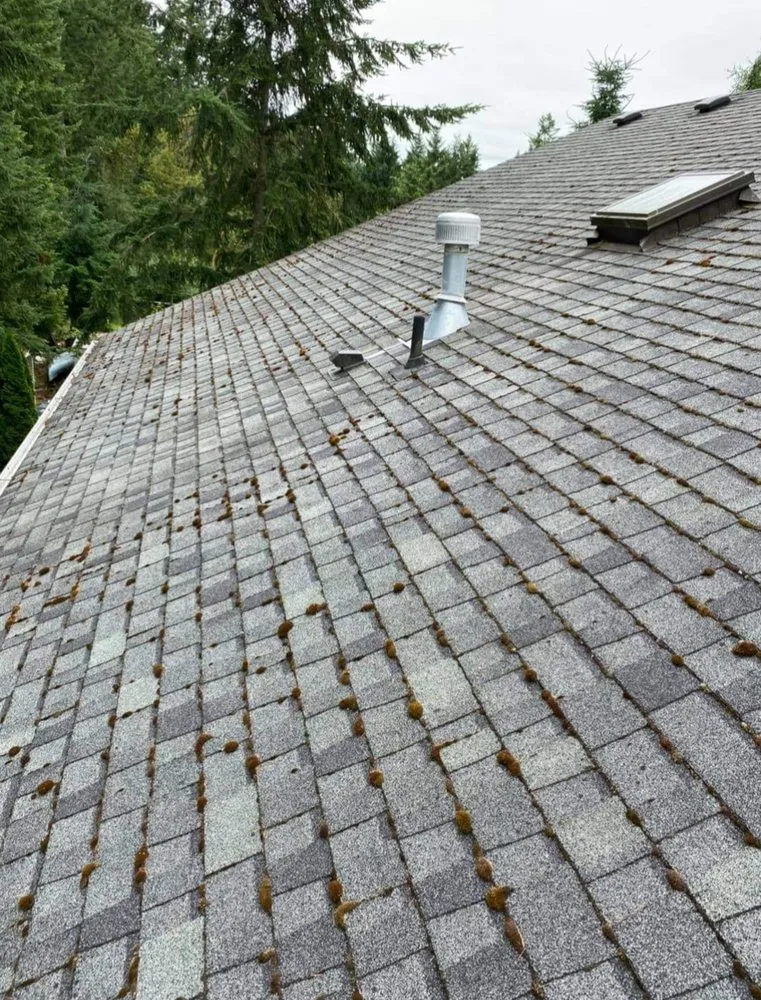 Slide of Georgia Roof Rangers