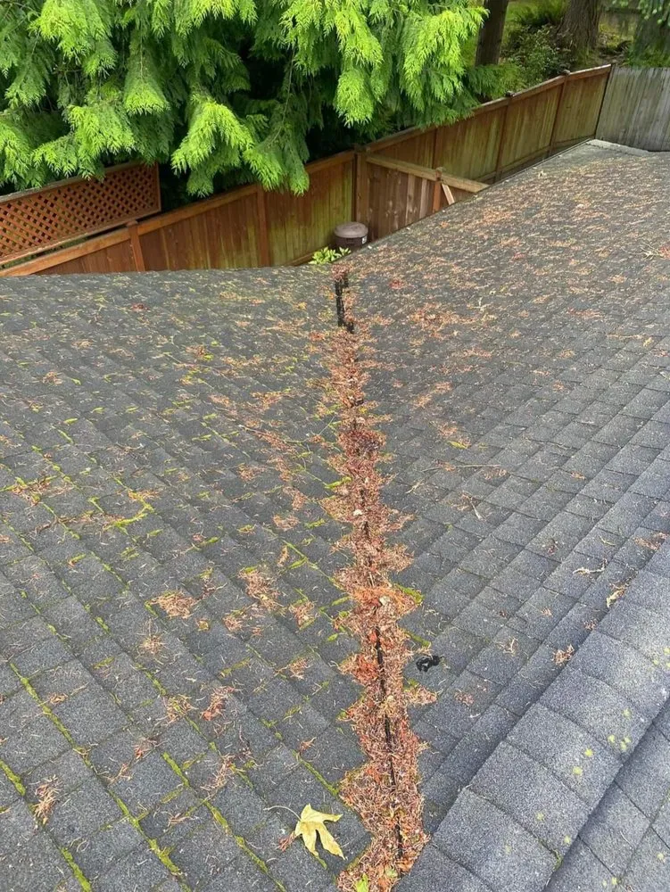 Slide of Georgia Roof Rangers