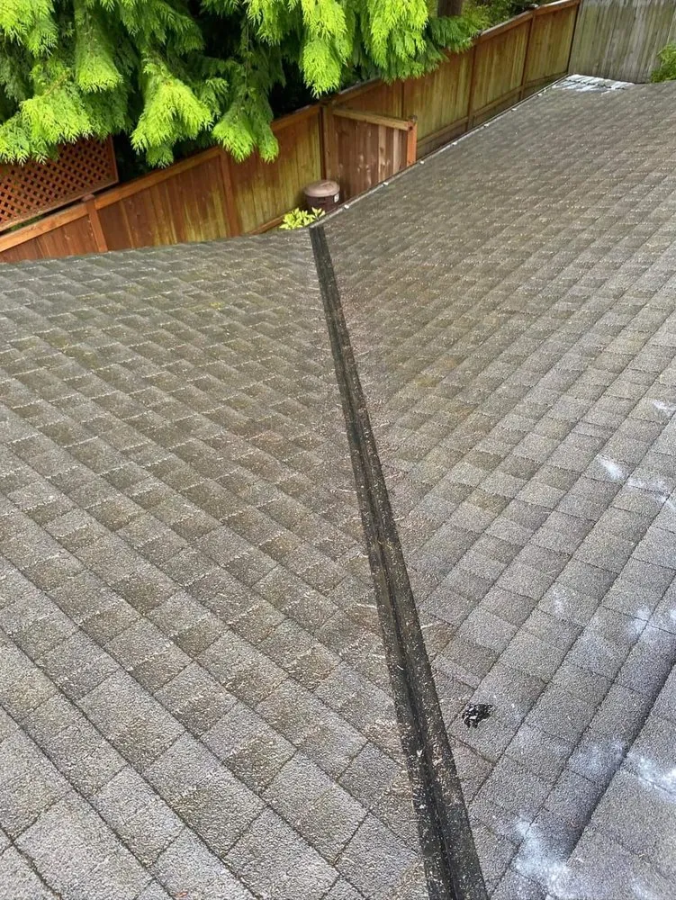 Slide of Georgia Roof Rangers