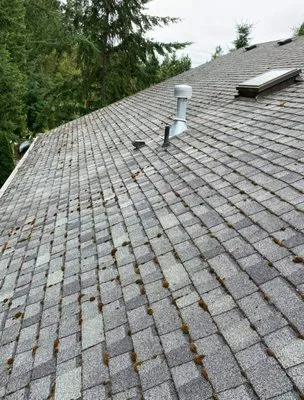 Georgia Roof Rangers Logo