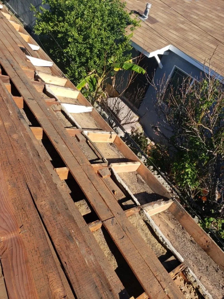 Slide of Gerardo roofing