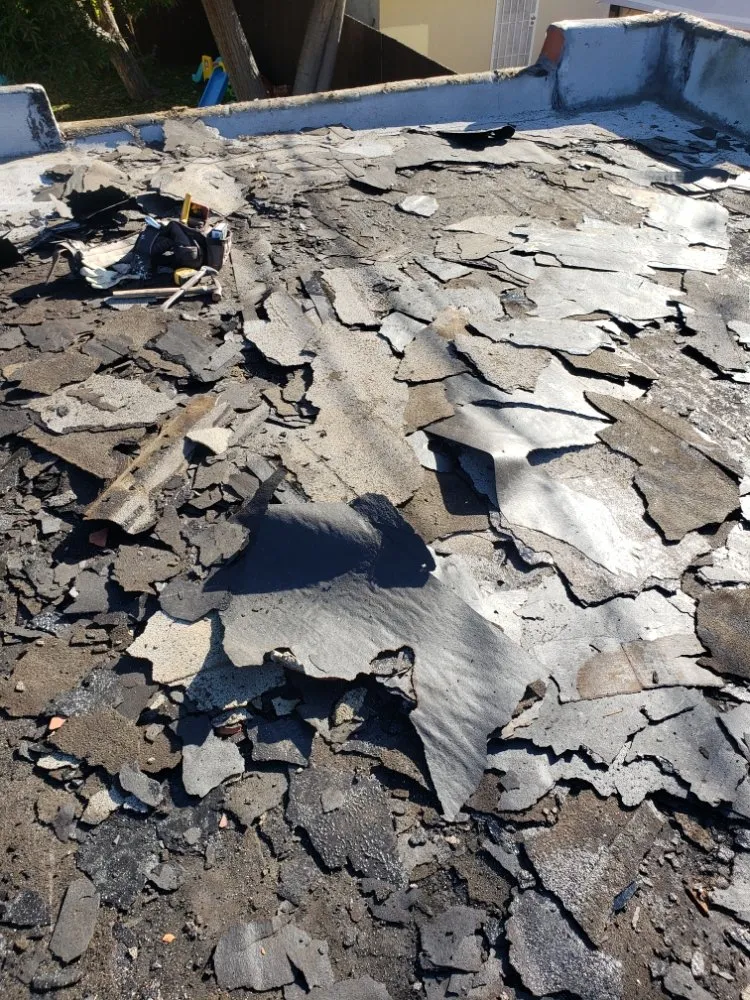 Slide of Gerardo roofing