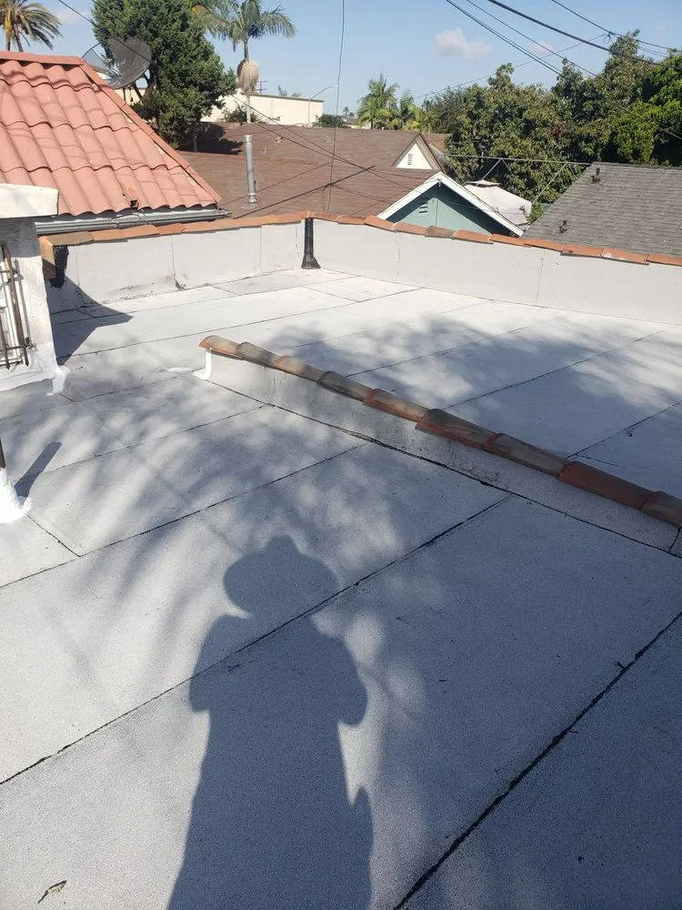 Slide of Gerardo roofing