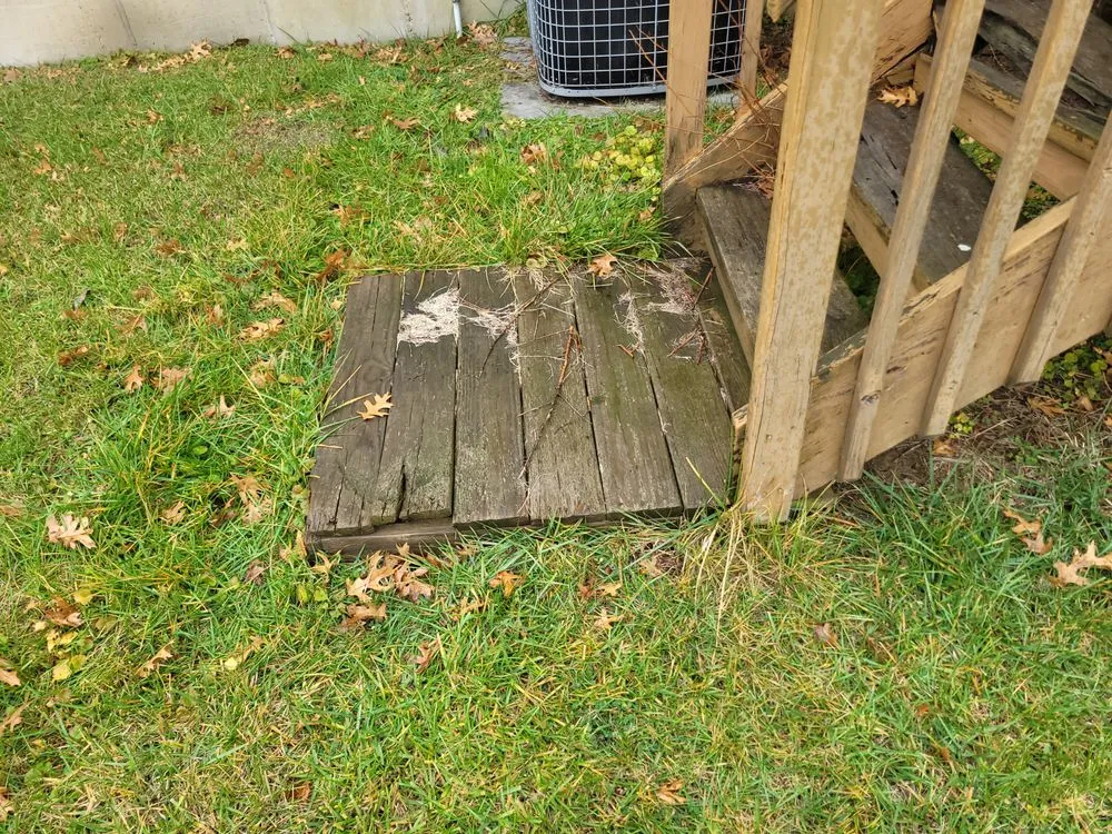 Slide of Gerhardt's Home Remedies