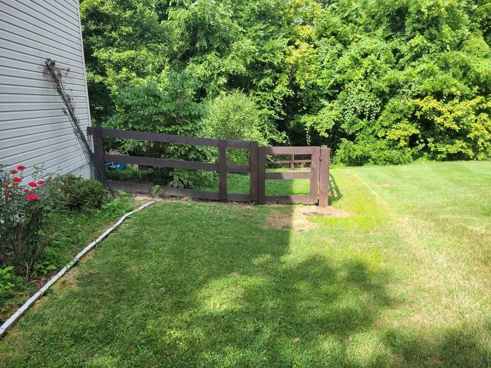 Slide of Gerhardt's Home Remedies