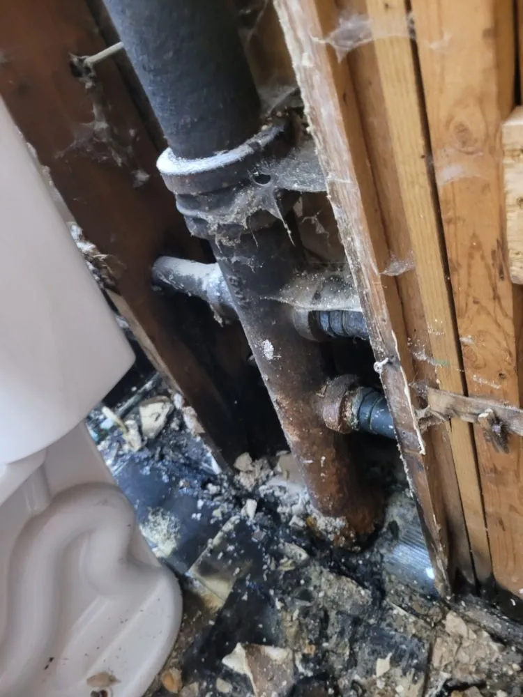 Slide of Gerhardt's Home Remedies