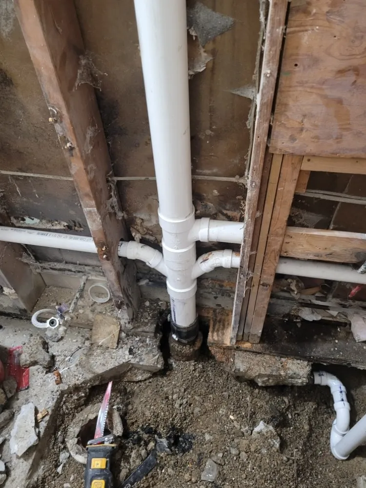 Slide of Gerhardt's Home Remedies