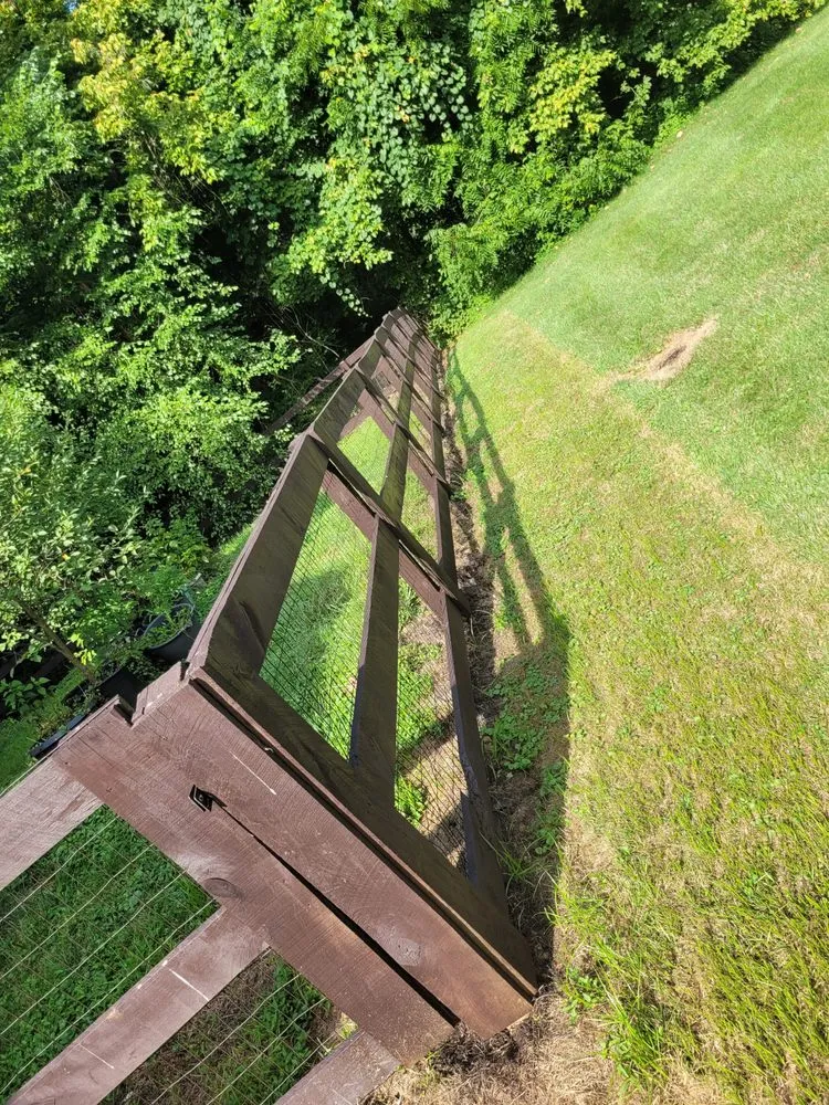 Slide of Gerhardt's Home Remedies