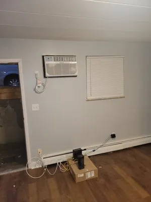 Gerhardt's Home Remedies