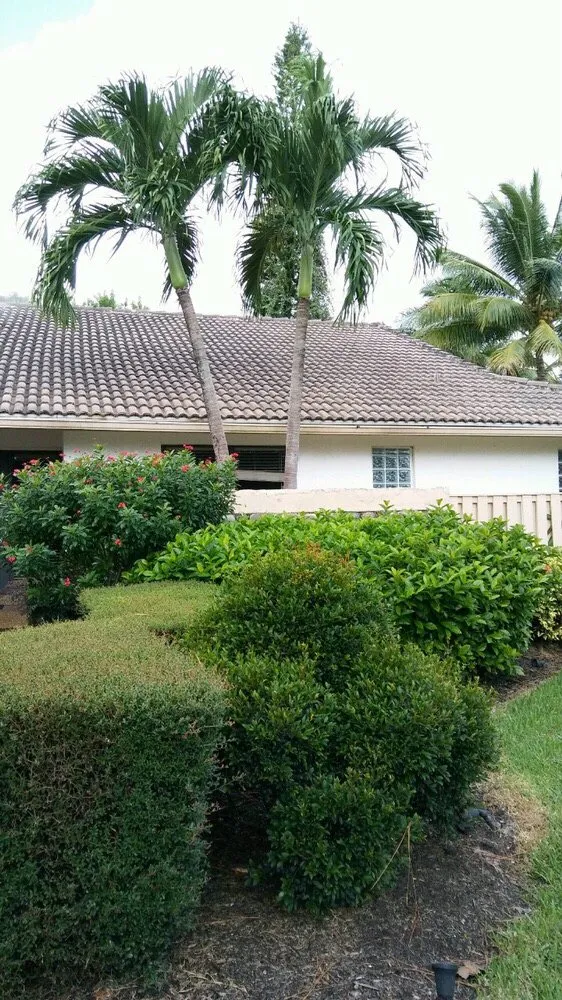 Slide of GetMyRoofCleaned