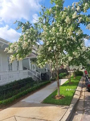 GFaith Lawn And Landscape Logo