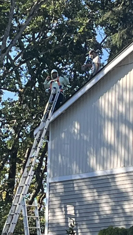 Slide of Giant Slayer Roofing