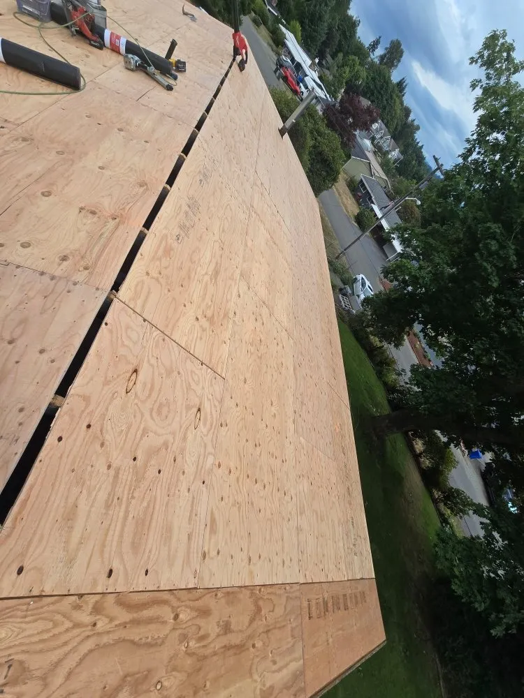 Slide of Giant Slayer Roofing