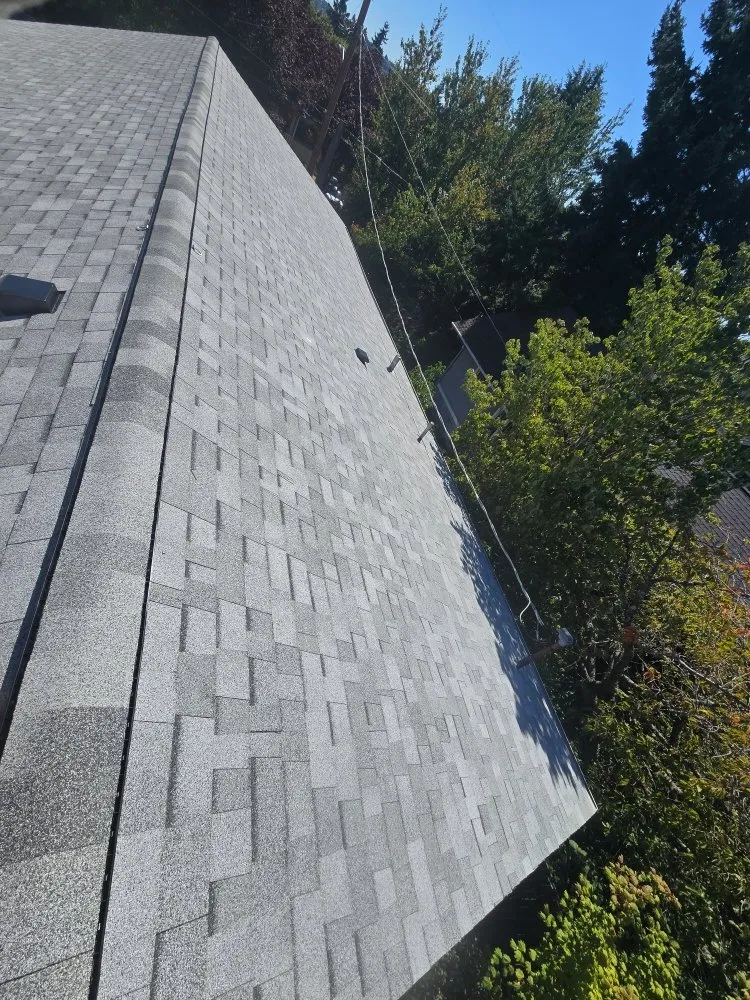 Slide of Giant Slayer Roofing