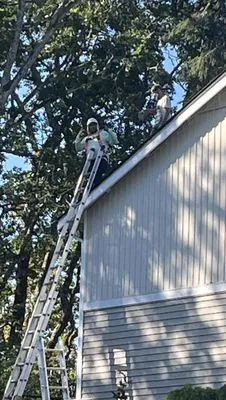 Giant Slayer Roofing