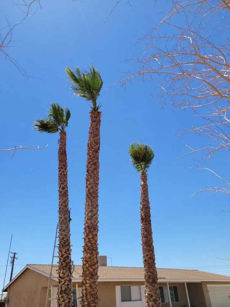 Slide of Gibbor Construction