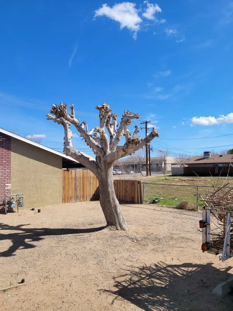 Slide of Gibbor Construction