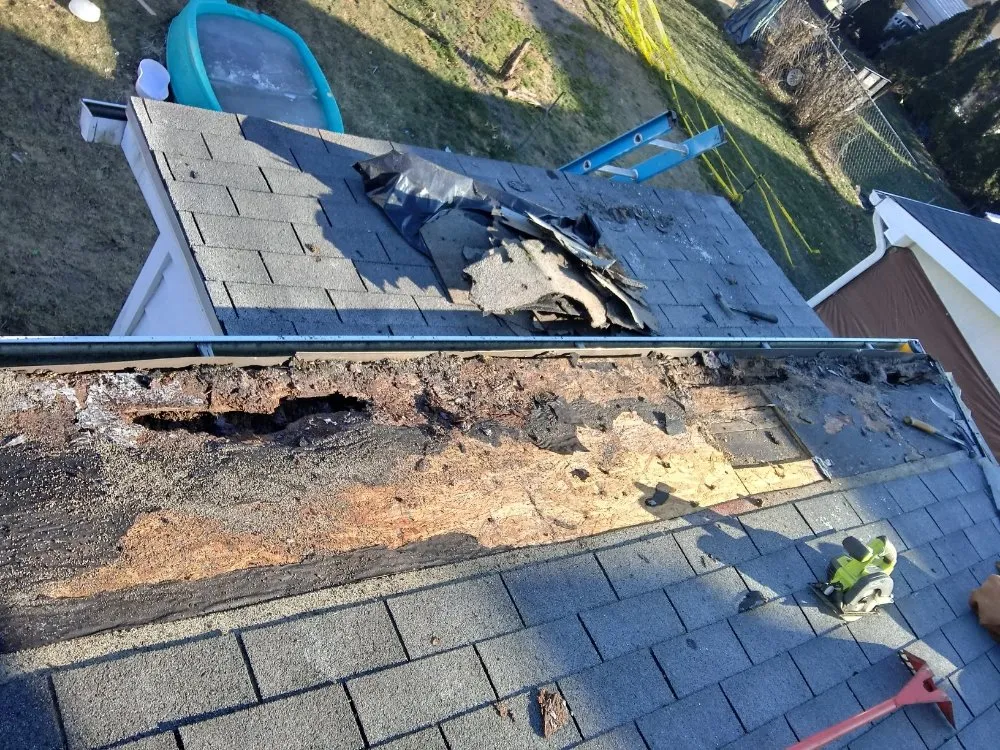Expert shingle roofing service experts serving Lyndora, PA - Gill Construction